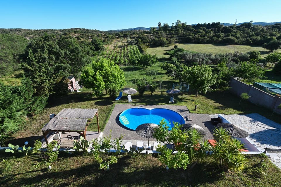 Natural landscape, Garden view