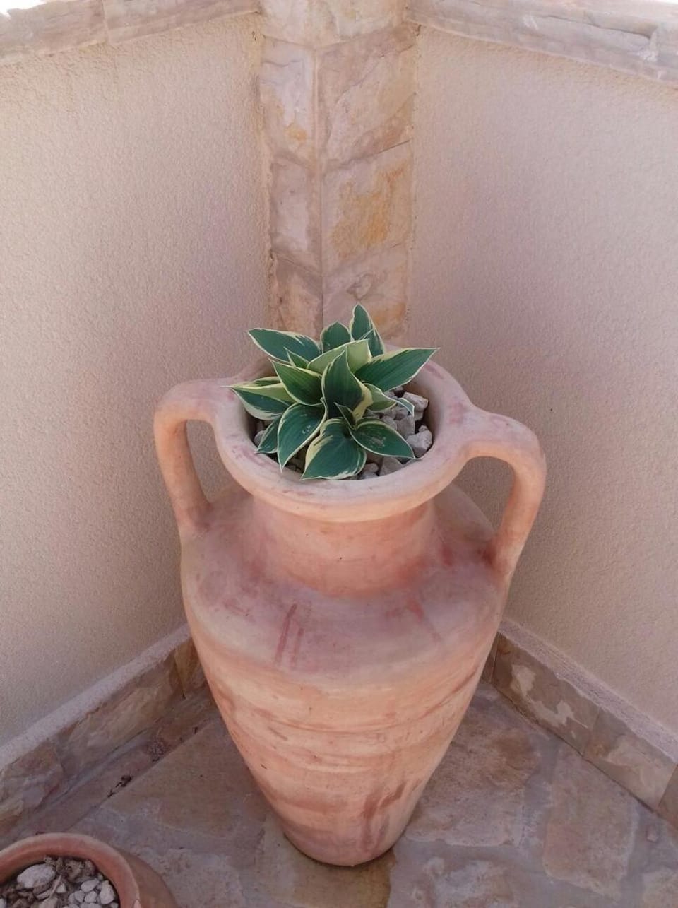 Decorative detail