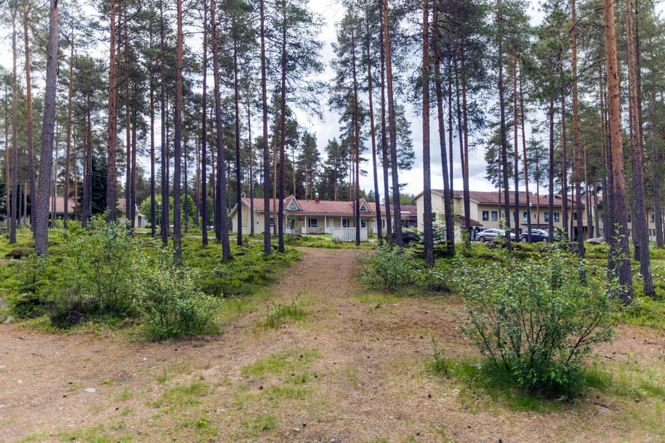 Natural landscape