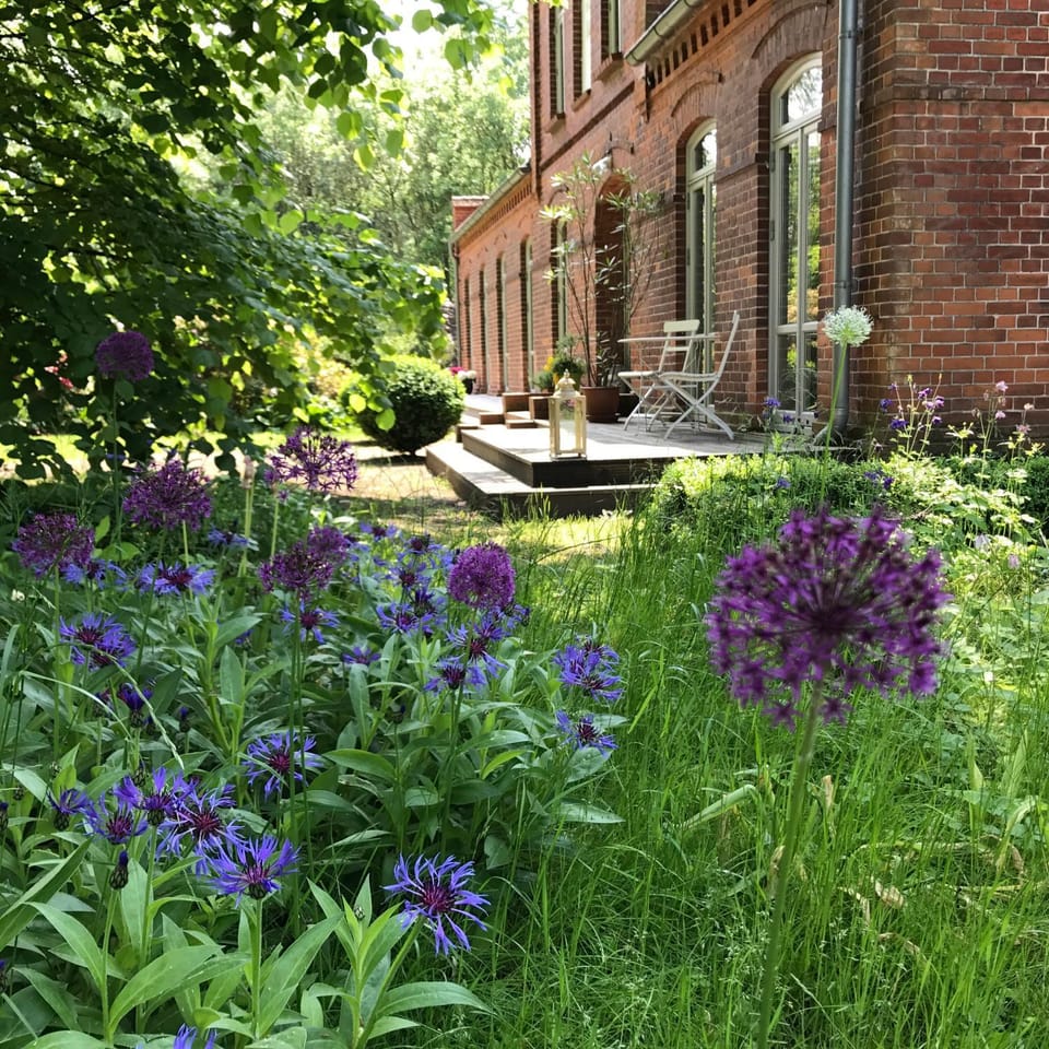 Facade/entrance, Garden view