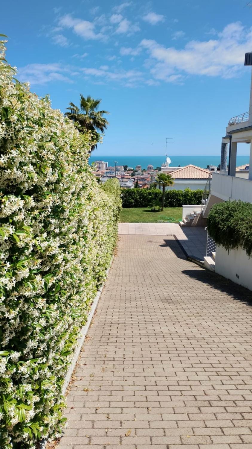 just blue Bed and Breakfast in Montesilvano