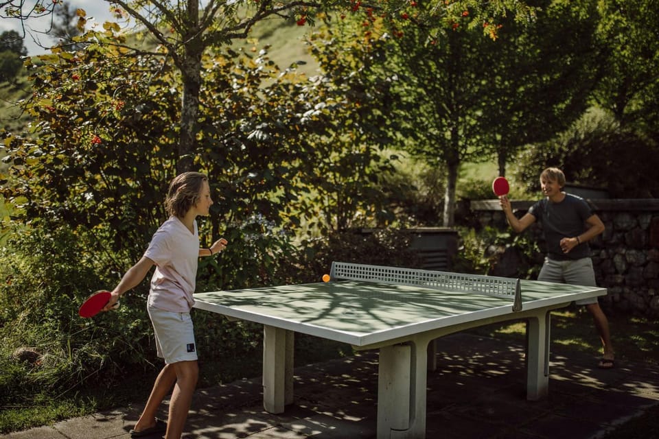 Summer, Garden, Table tennis, Family