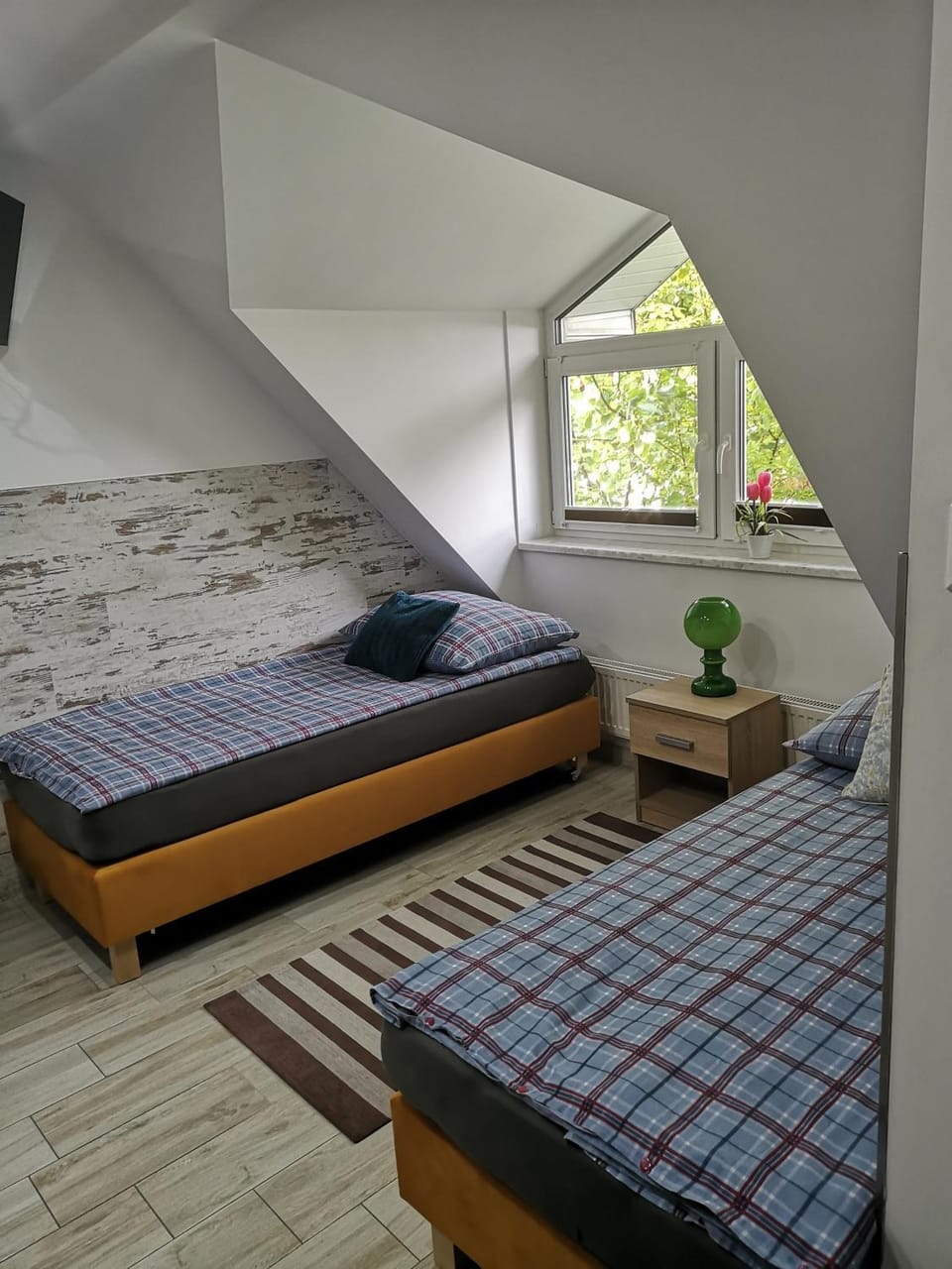 Photo of the whole room