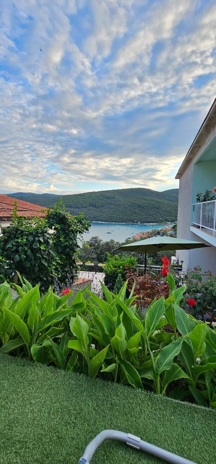 Garden, Sea view