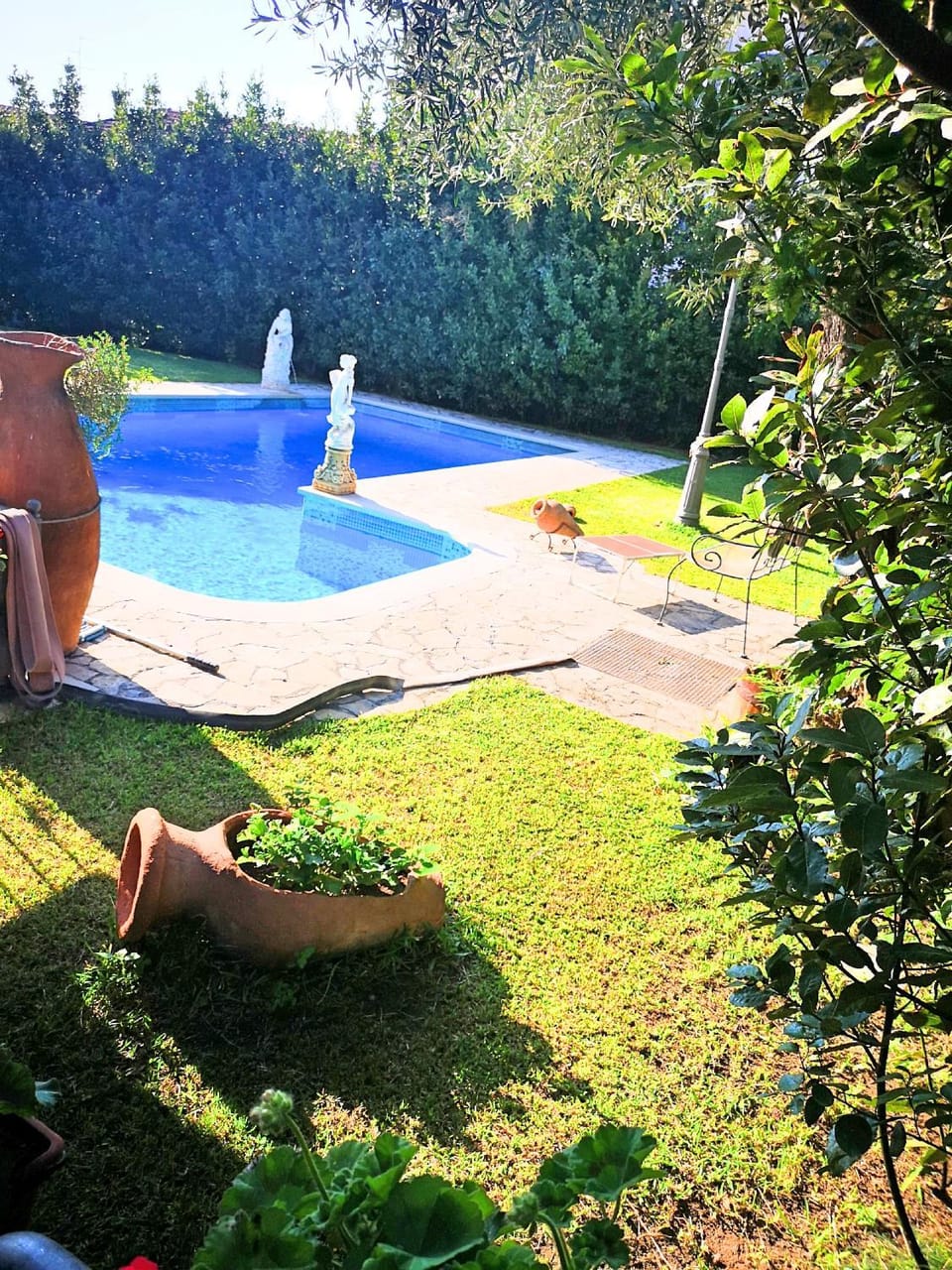 Swimming pool, Swimming pool