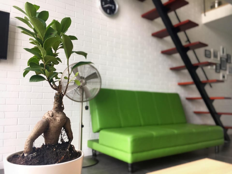 Living room, Decorative detail, Seating area