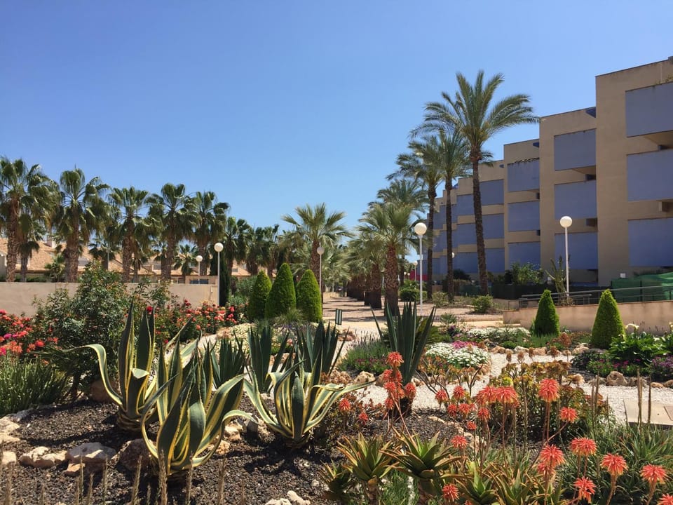 Garden, Garden view