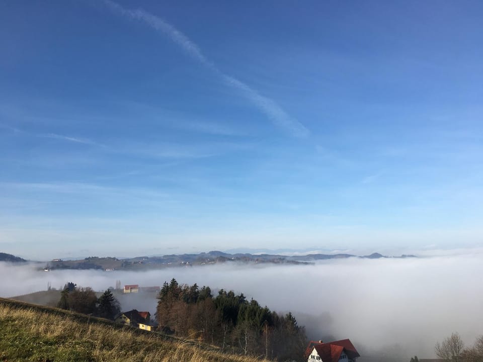 Natural landscape