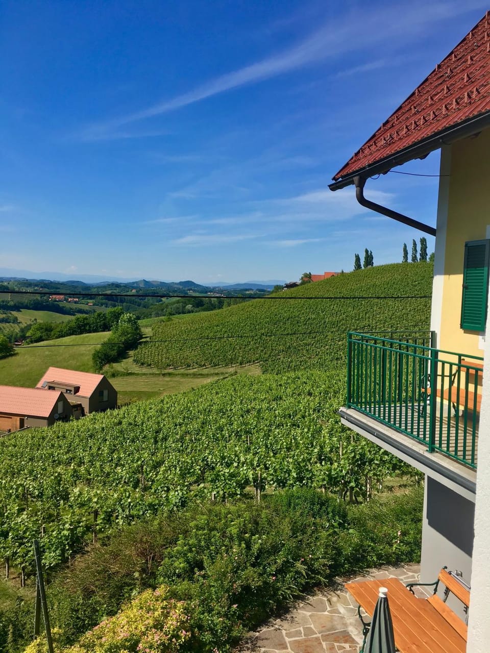 View (from property/room)