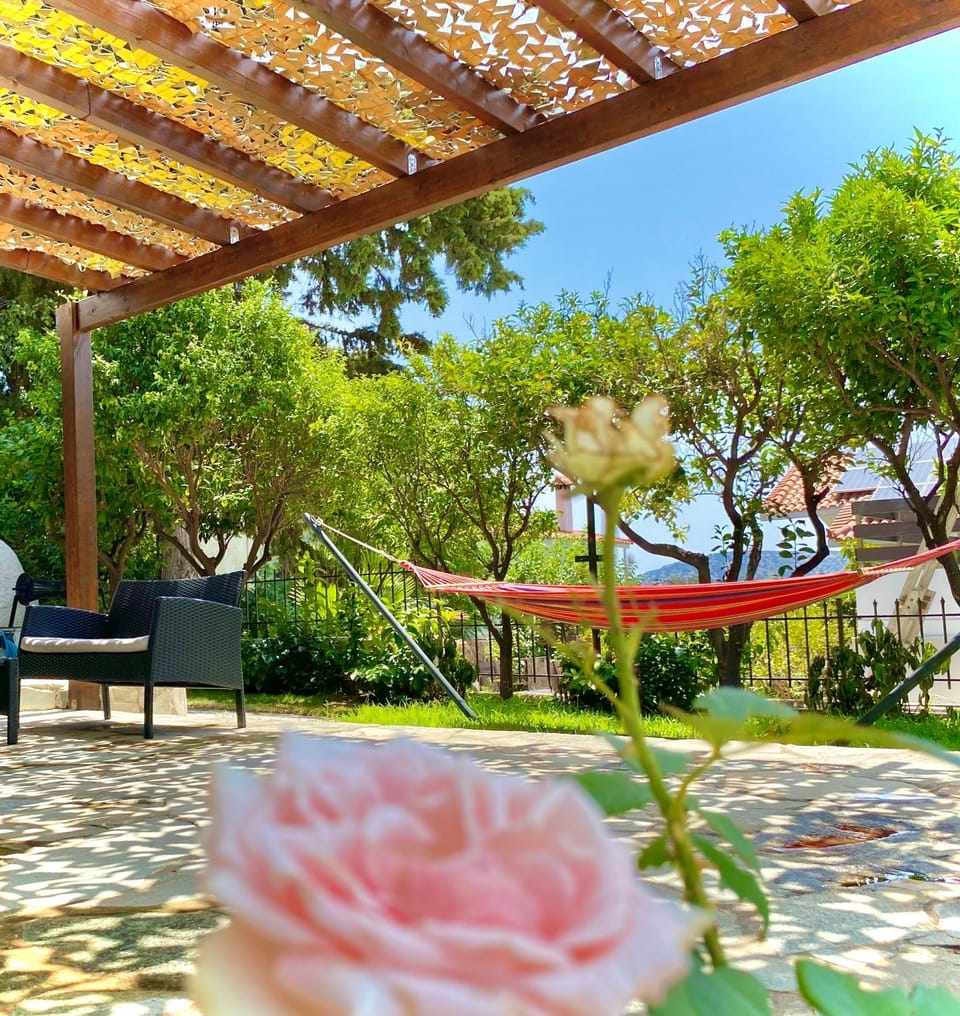 Patio, Garden, Garden view