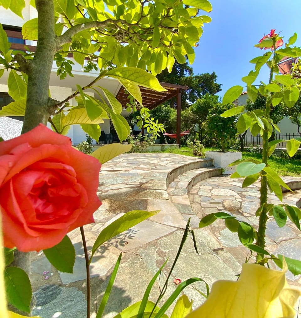 Garden, Garden view