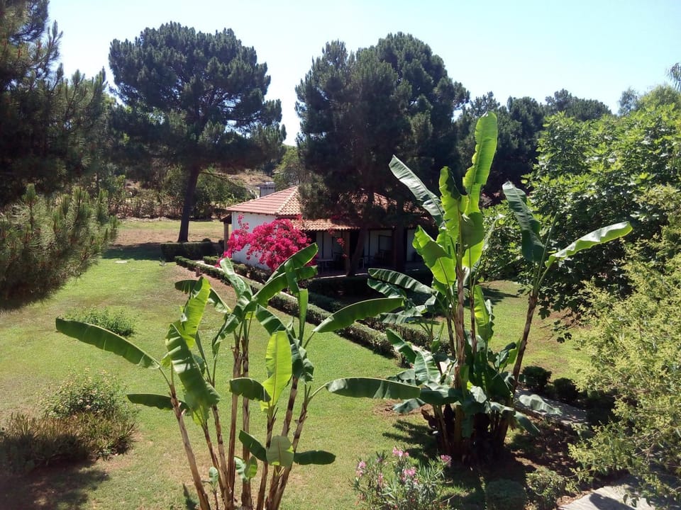 View (from property/room)