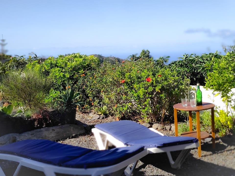 Garden, Solarium, Balcony/Terrace, Garden view