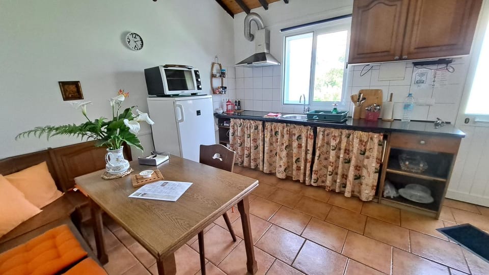 Kitchen or kitchenette, kitchen
