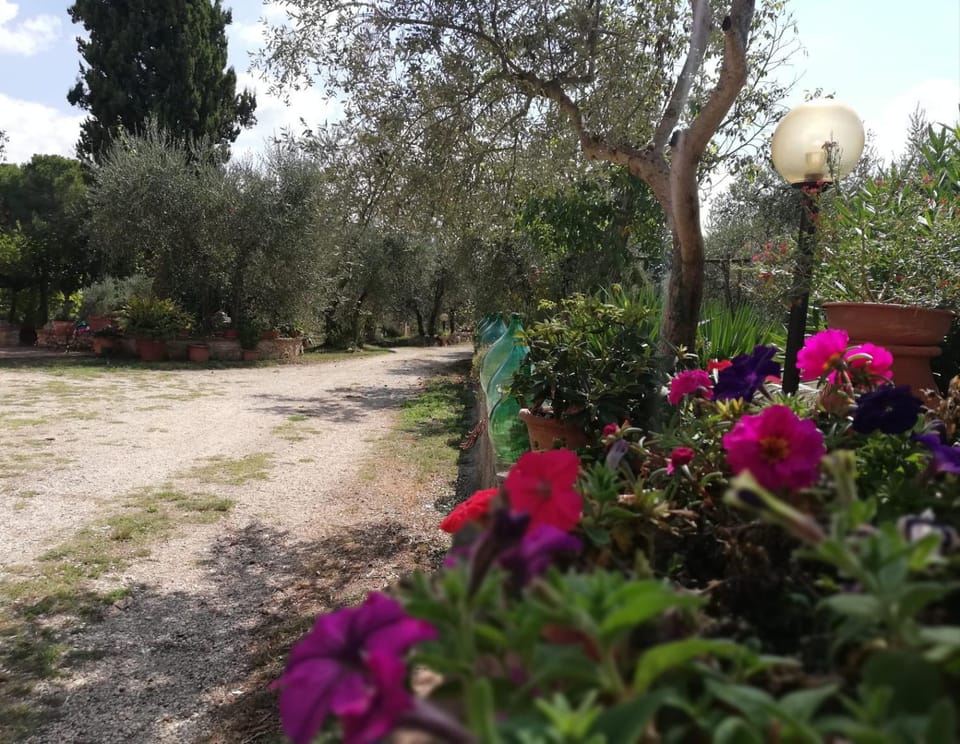 Nel Chianti lungo la Francigena Apartment in Colle di Val d Elsa