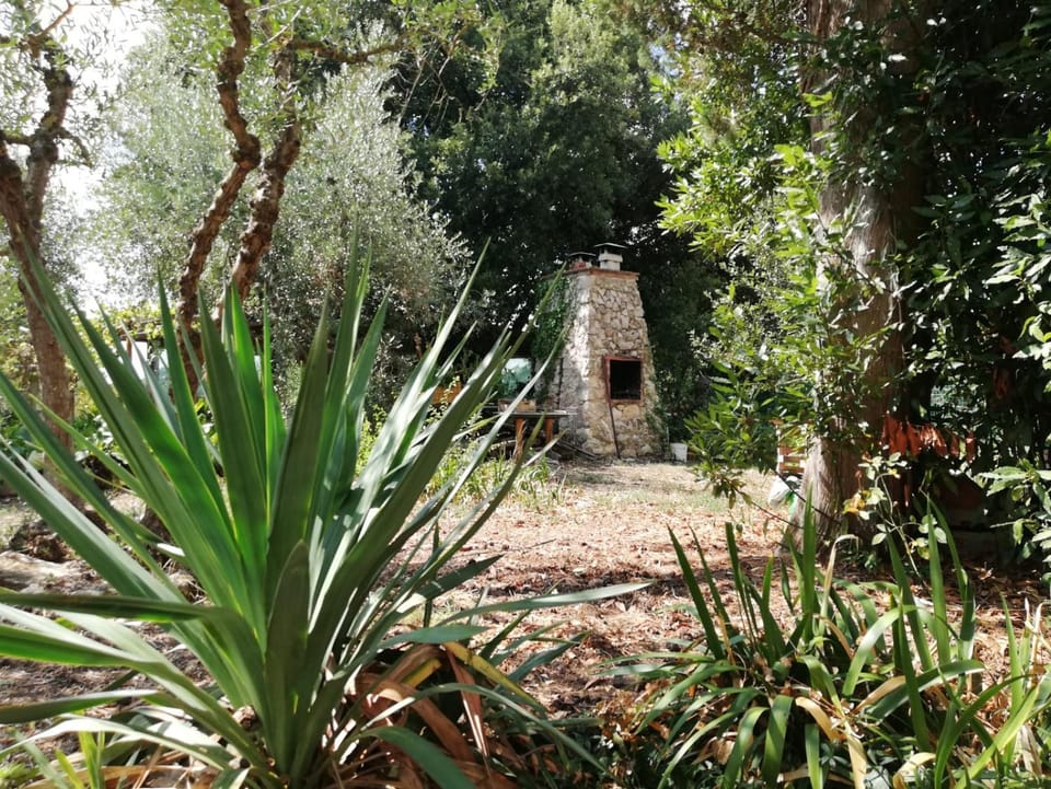 BBQ facilities, On site