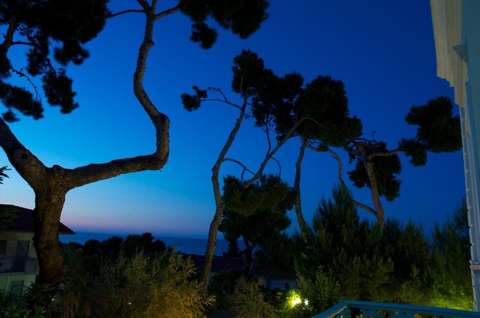 Night, Natural landscape, Garden, Garden view