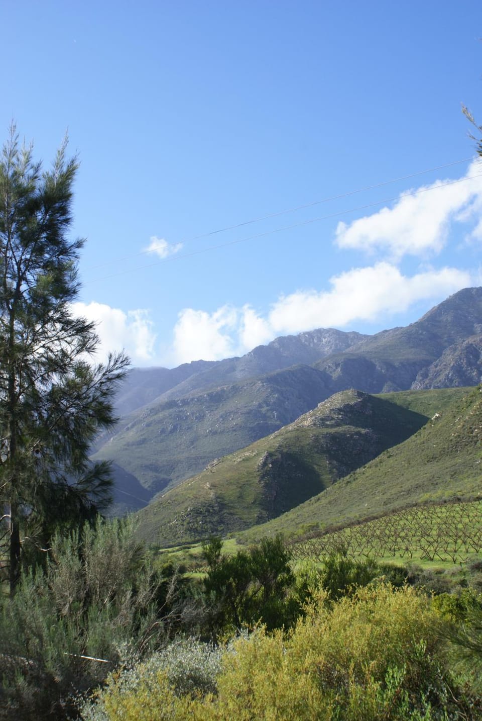 Mountain view
