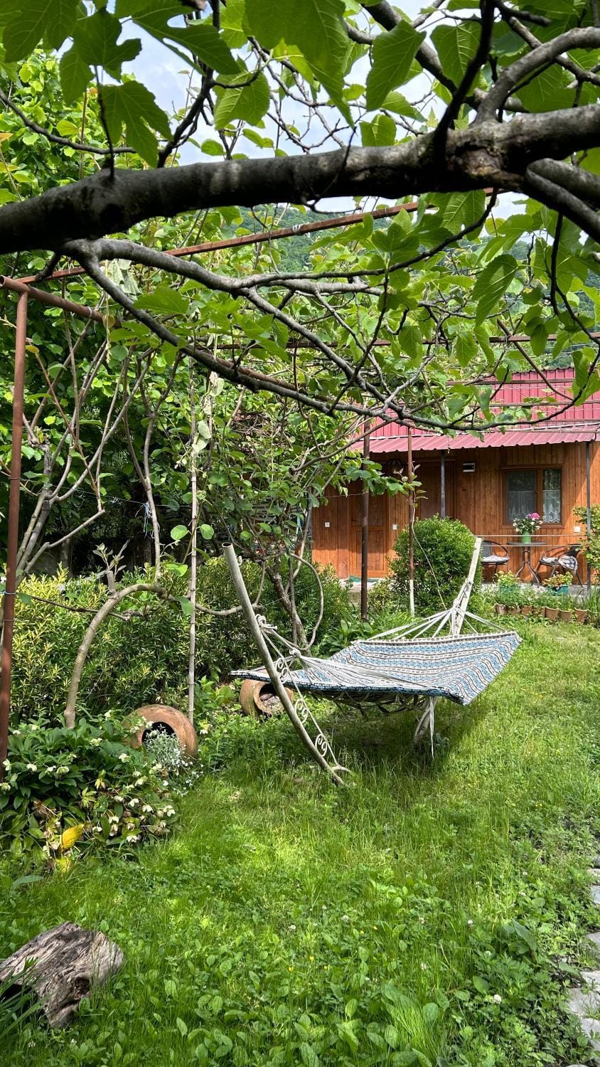 Property building, Spring, Garden, Garden view