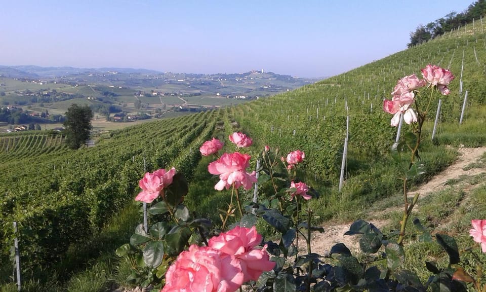 Spring, Natural landscape