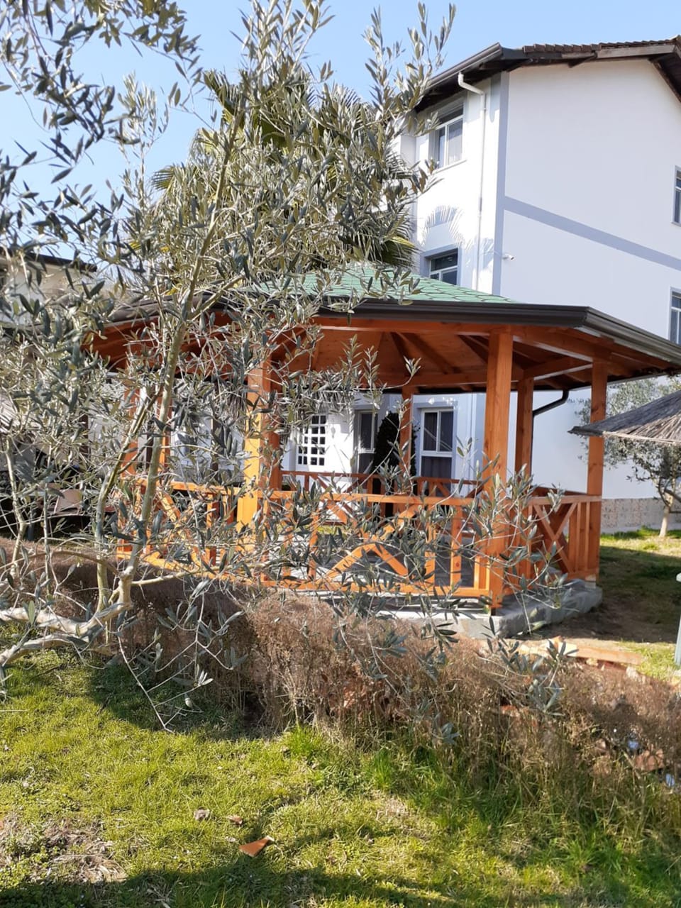 Villa Dede Nikolla Bed and Breakfast in Tirana County, Albania