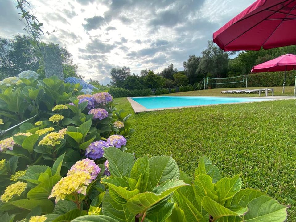Patio, Garden, Garden view, Swimming pool