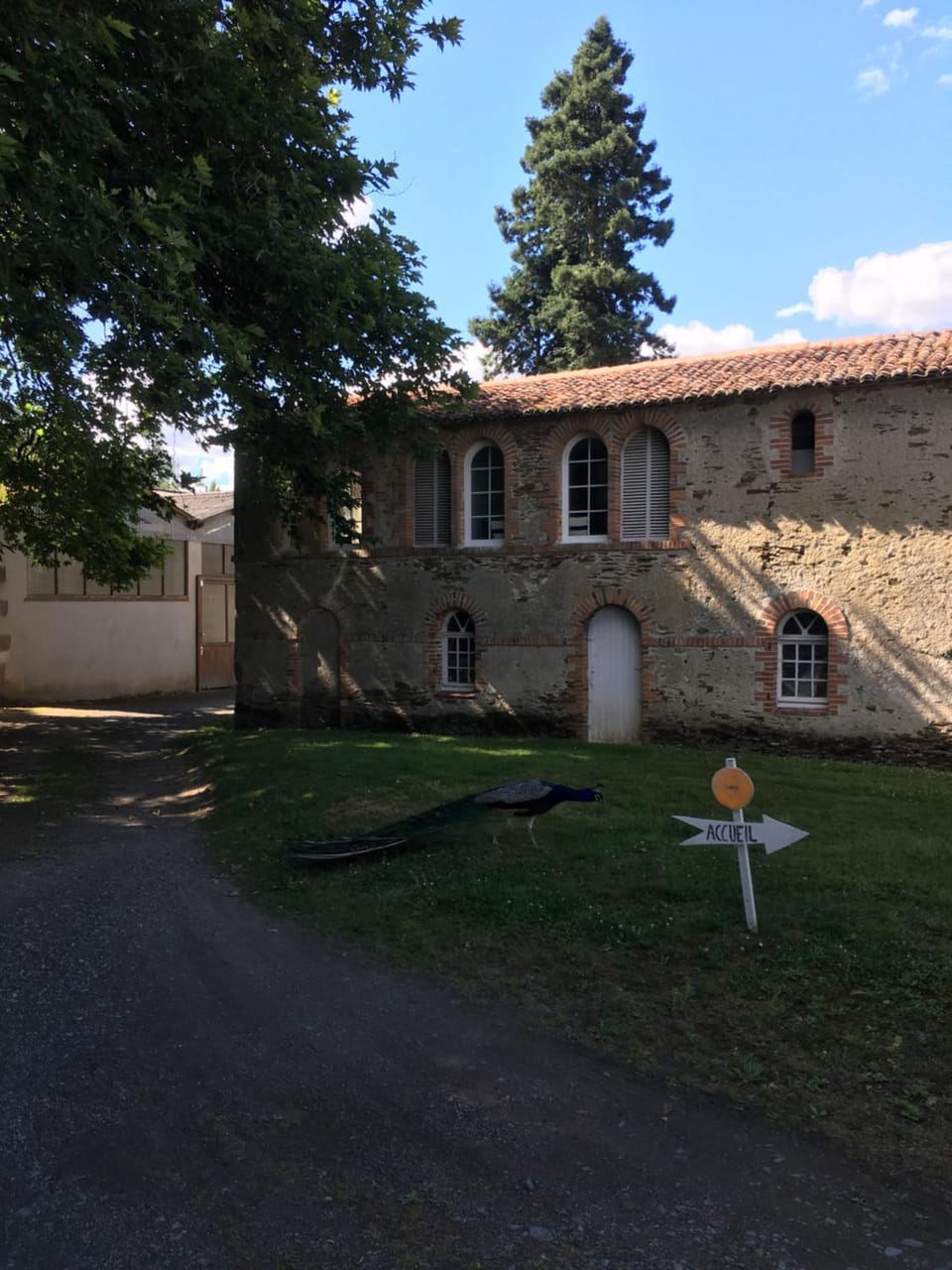 Cabanes et Studios à la Bernardiere Bed and Breakfast in Pays de la Loire