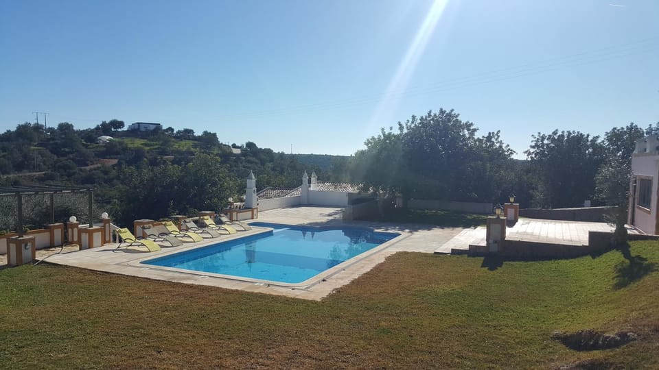 Winter, Garden, Swimming pool