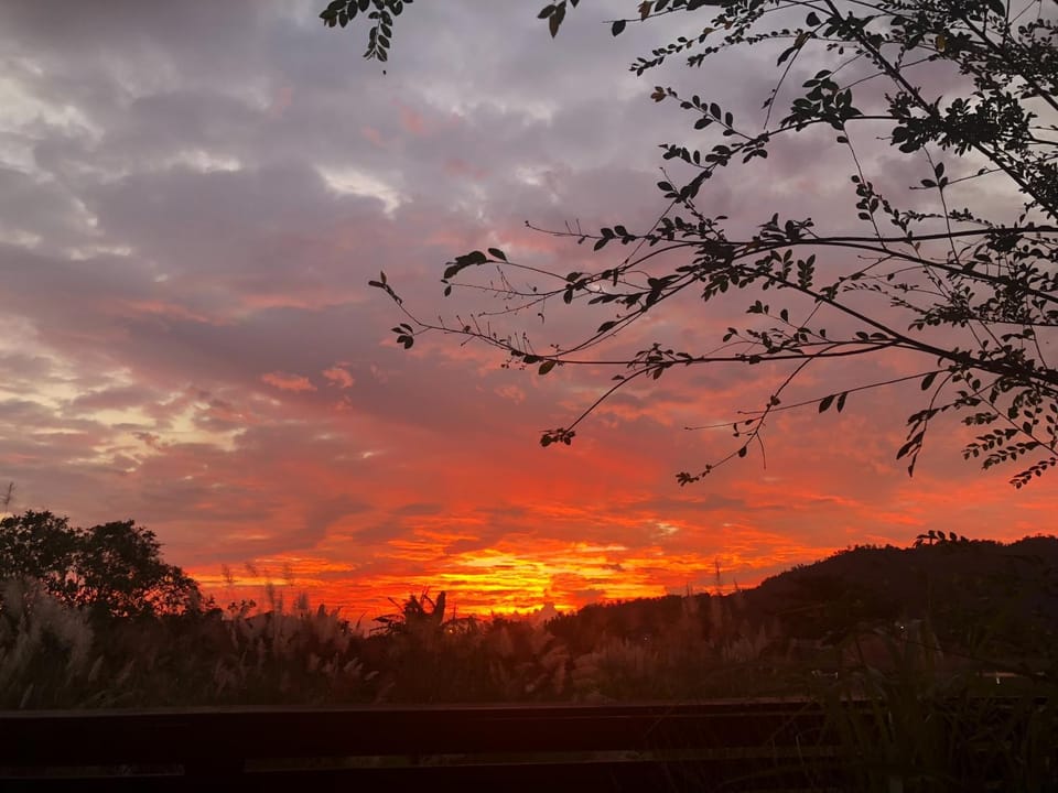 Property building, Sunrise