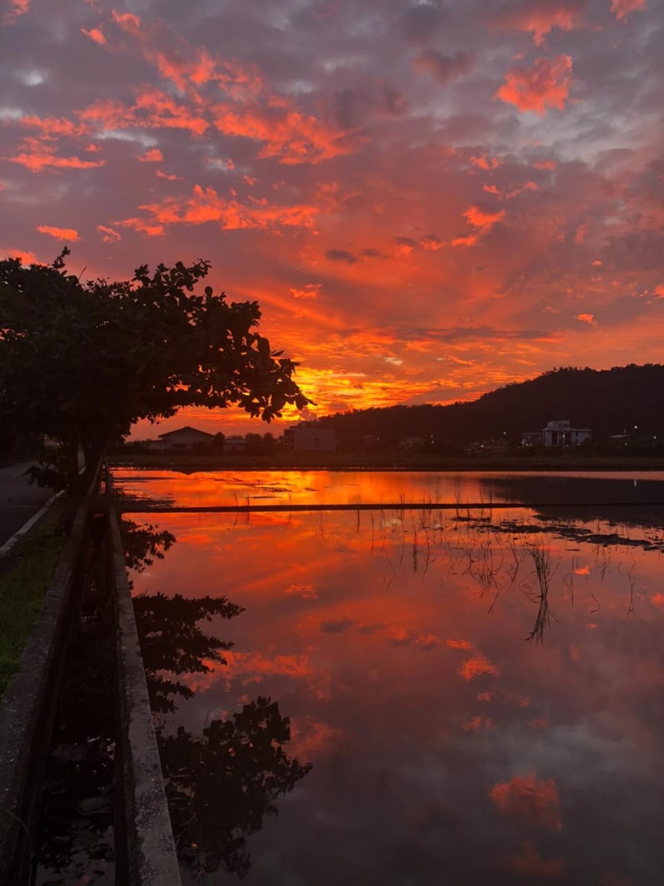 Sunrise