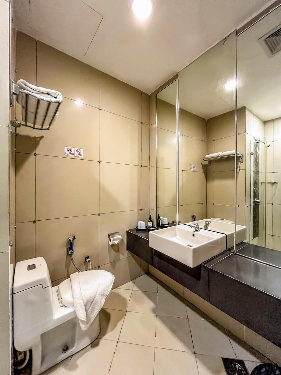 Toilet, bidet, towels