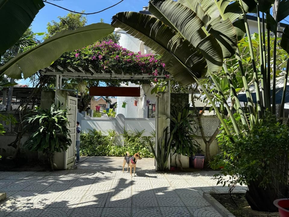 Property building, Garden, Garden view