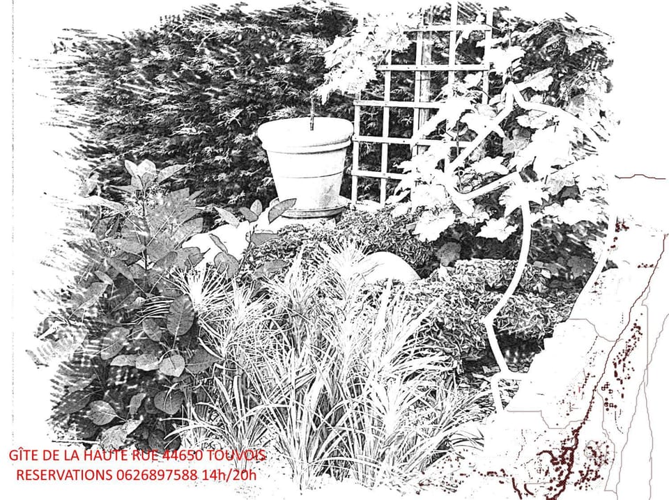 Winter, Garden