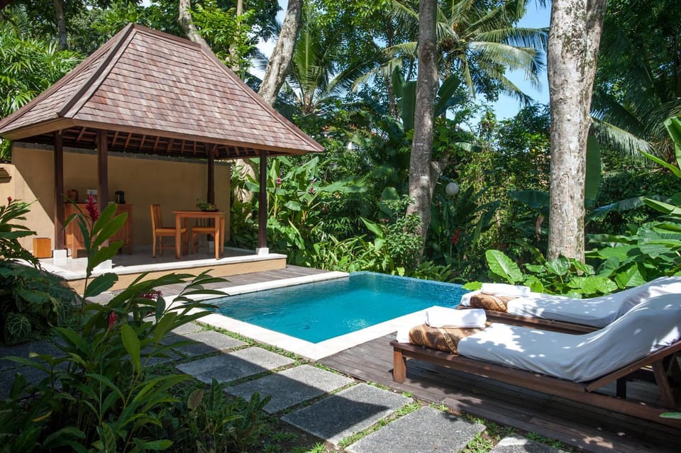 View (from property/room), Pool view, Swimming pool, sunbed
