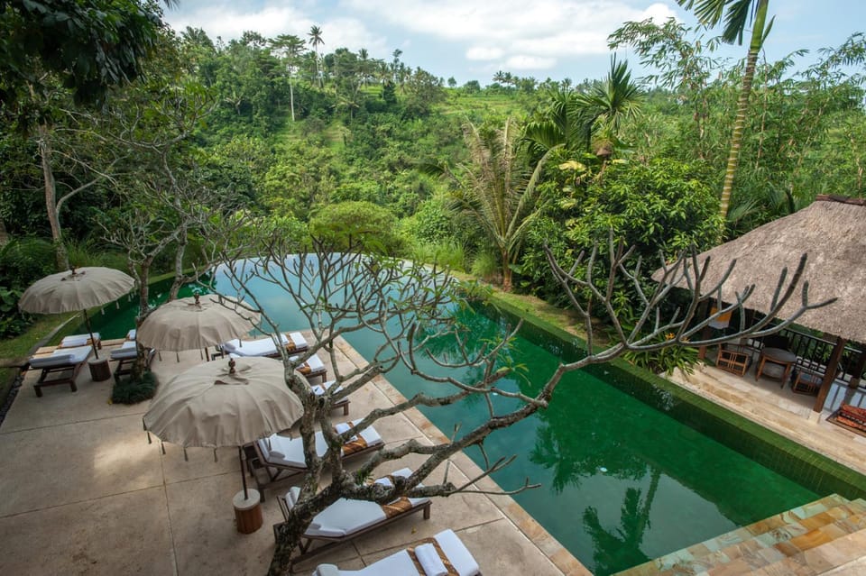 View (from property/room), Pool view, Swimming pool, sunbed