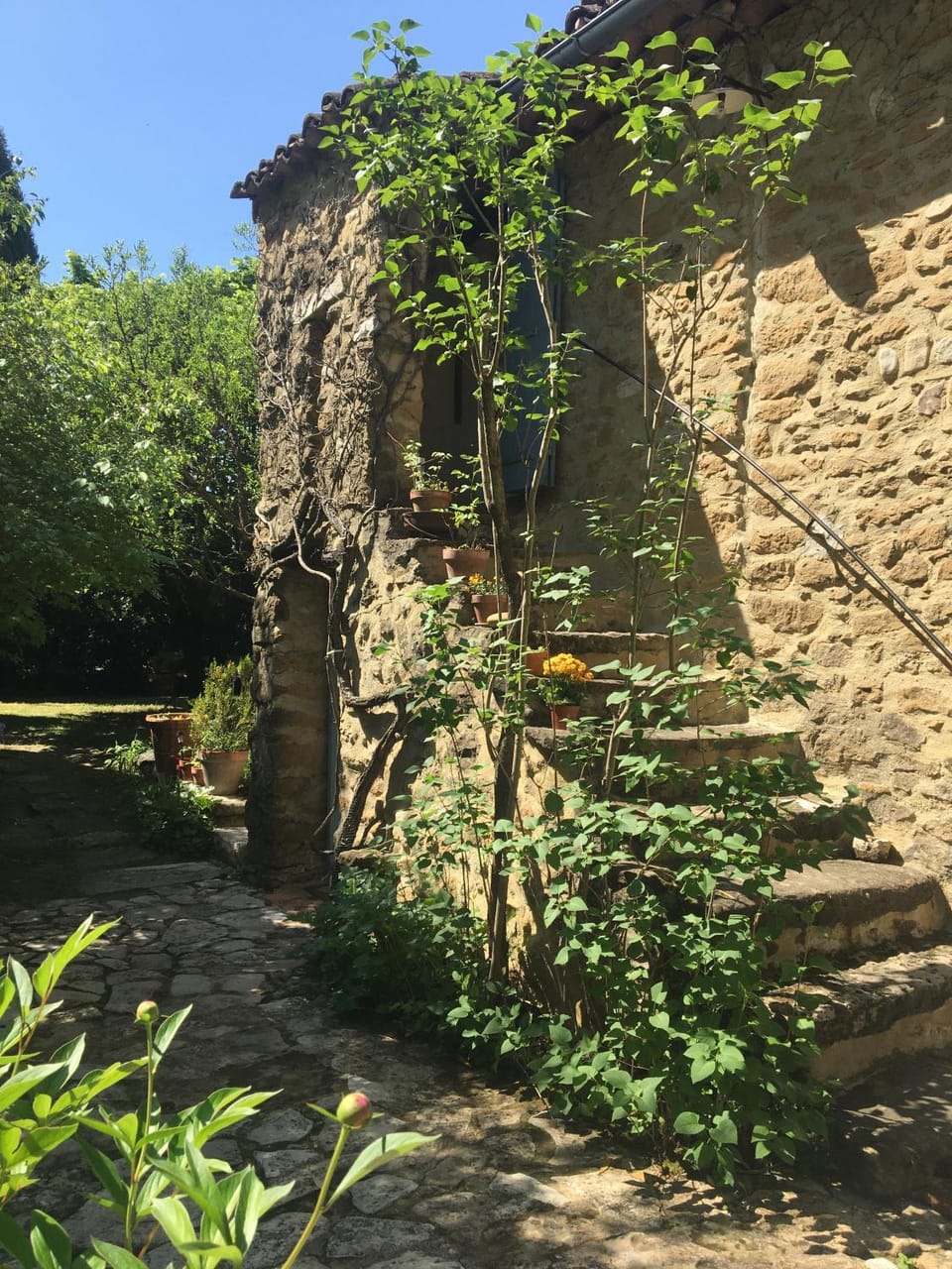 Property building, Garden view, acessibility