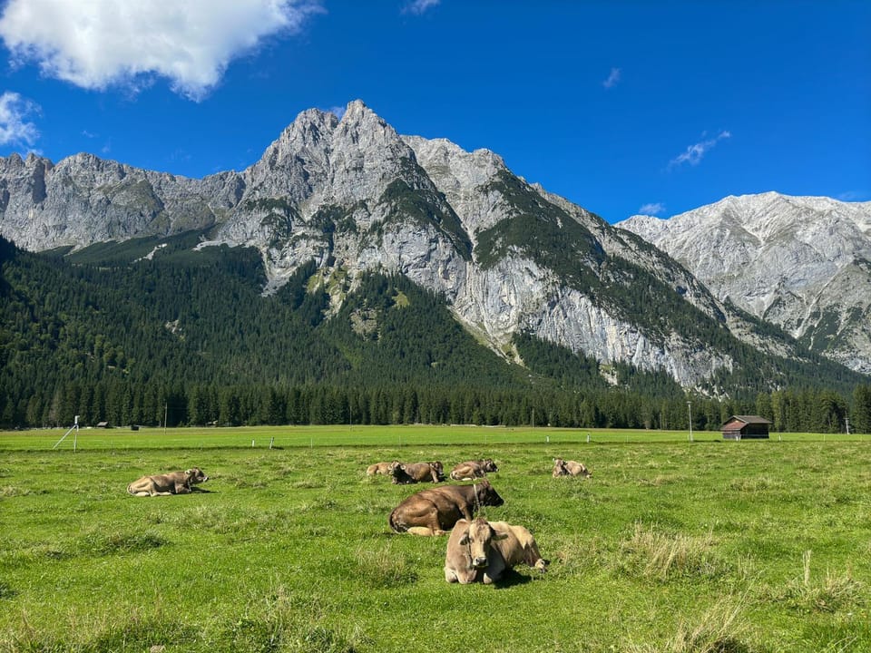 Ahrnerhof Farm Stay in Tyrol