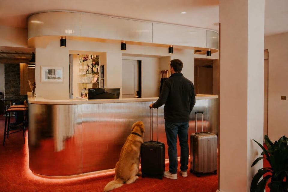 pet friendly, pet friendly