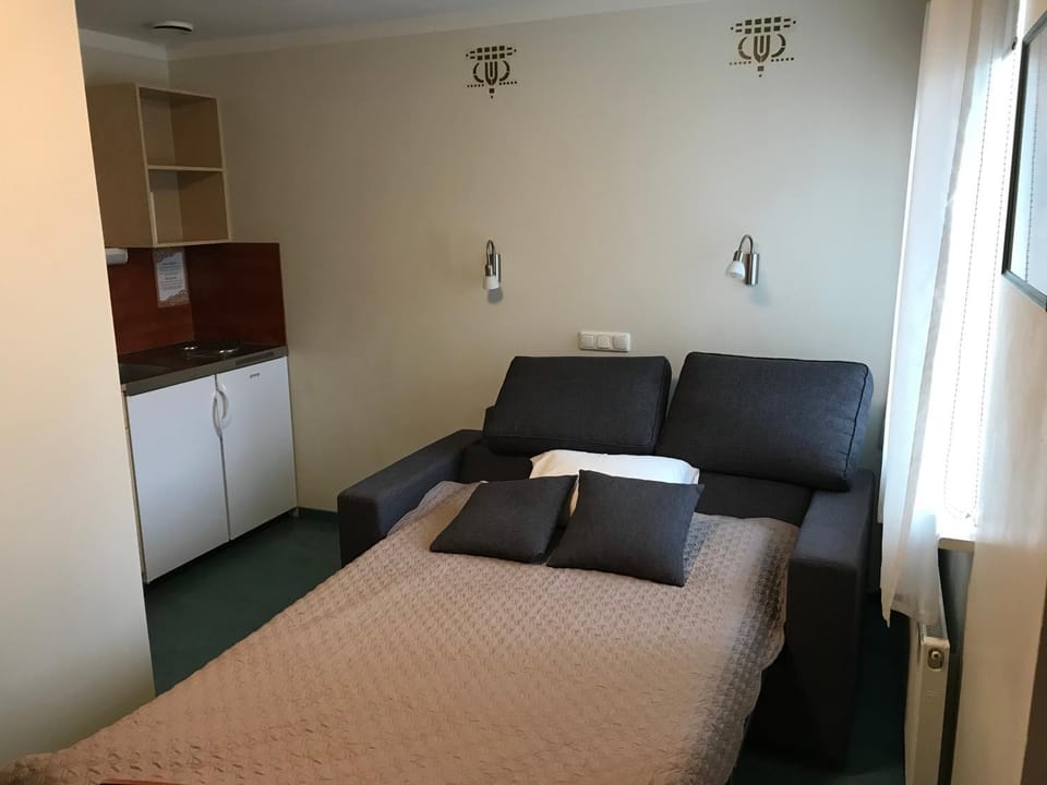 Bed, Kitchen or kitchenette, Living room, Photo of the whole room, Seating area, Bedroom