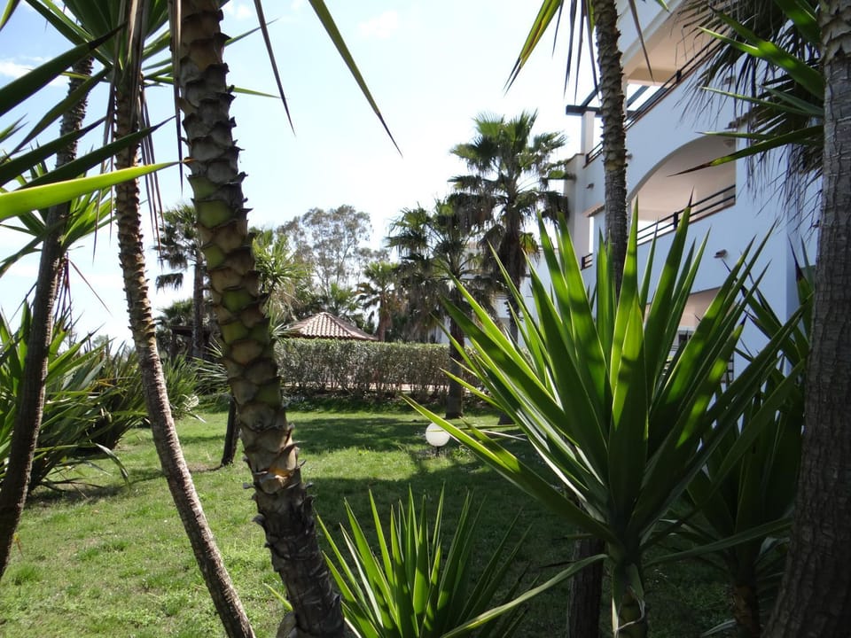 Garden view