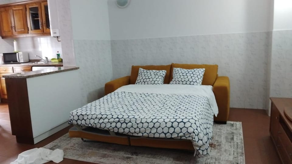 Downtown PORTO SE Apartment in Porto