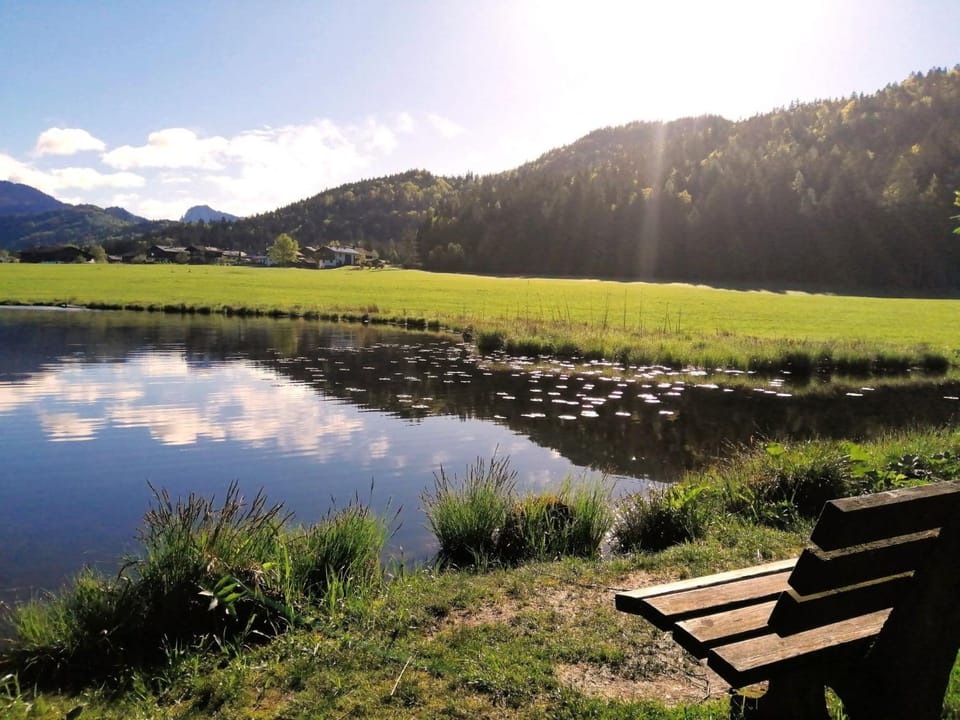 Lake view
