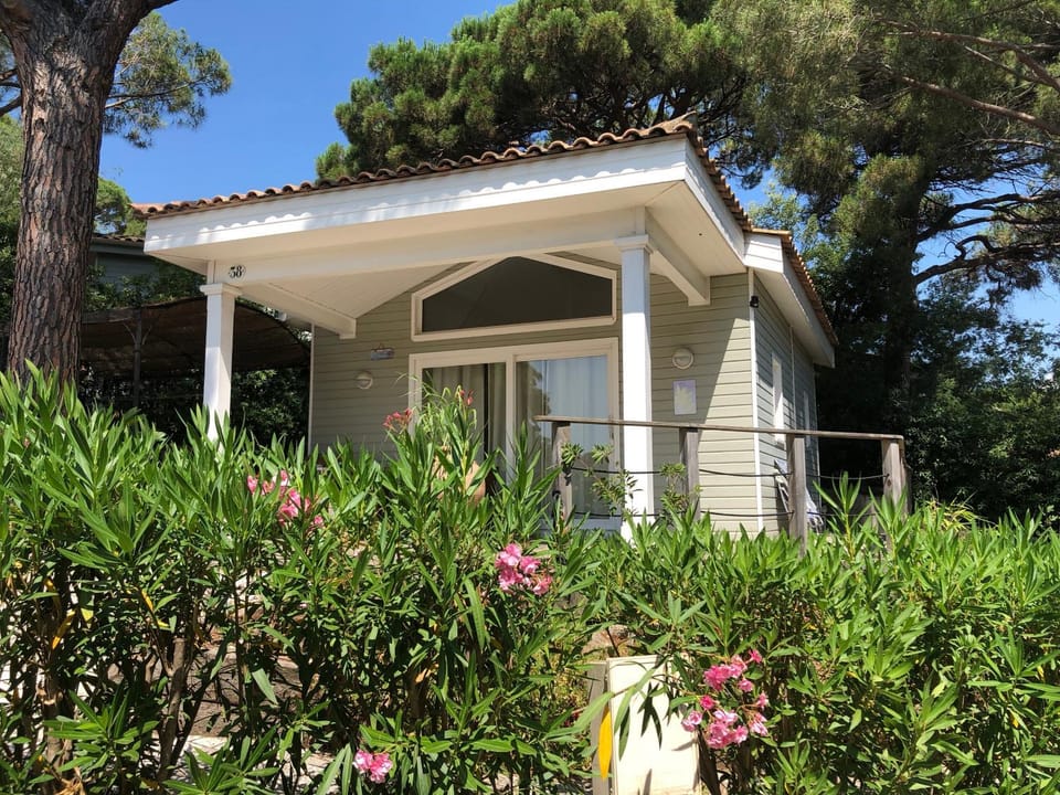 Saint tropez -parc oasis House in Gassin