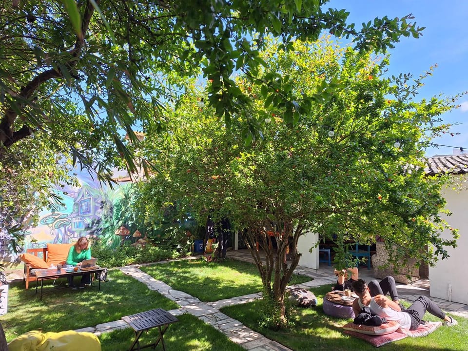 Garden