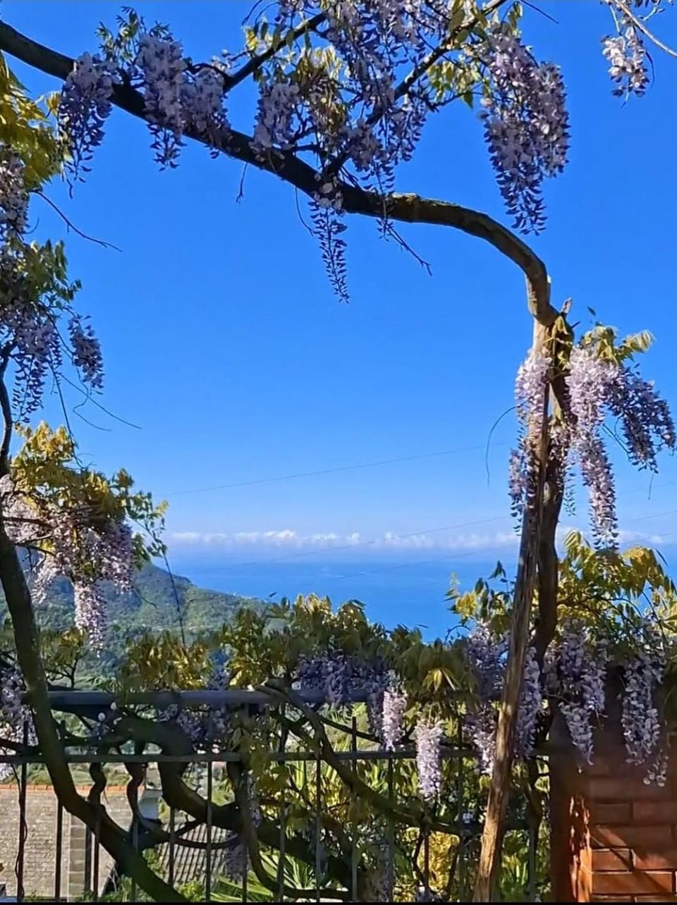 Bed&Breakfast Bella Vita Bed and Breakfast in Liguria