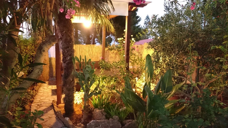 Garden view, Sunset