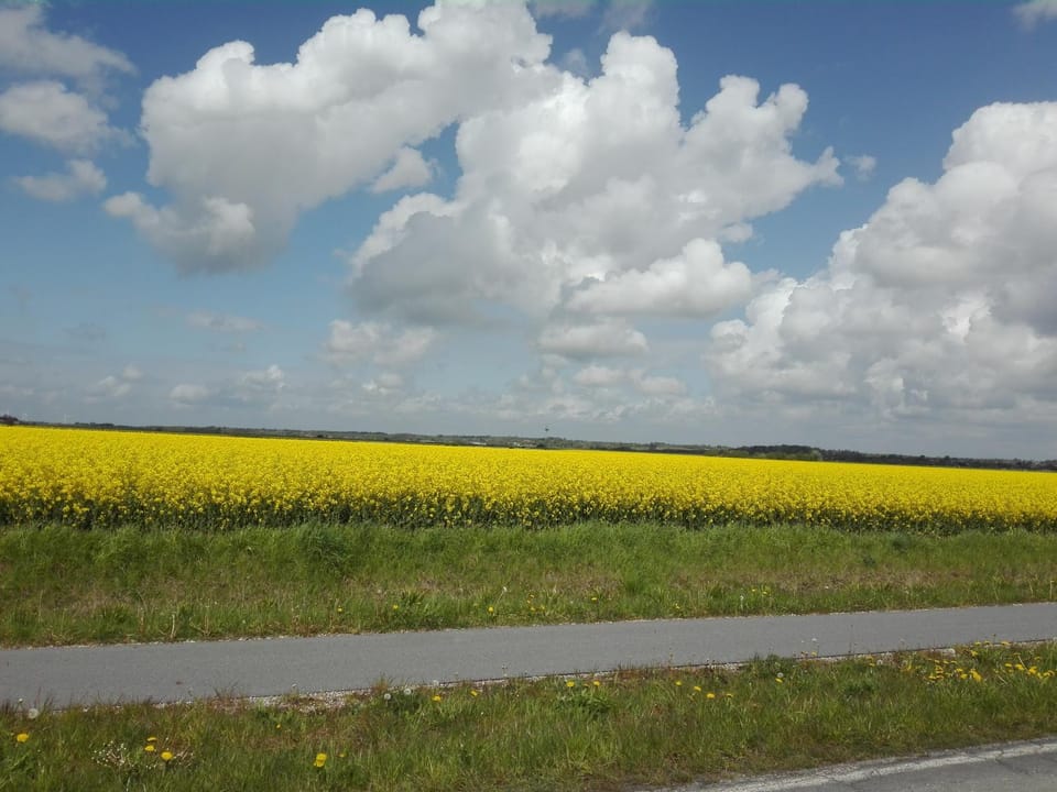 Ferienwohnung Kreider Apartment in Dagebüll