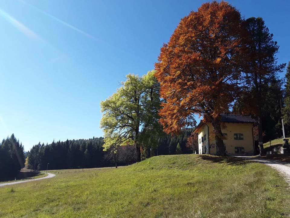 Property building, Day, Natural landscape