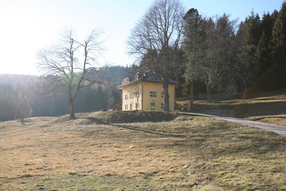 Property building, Garden view