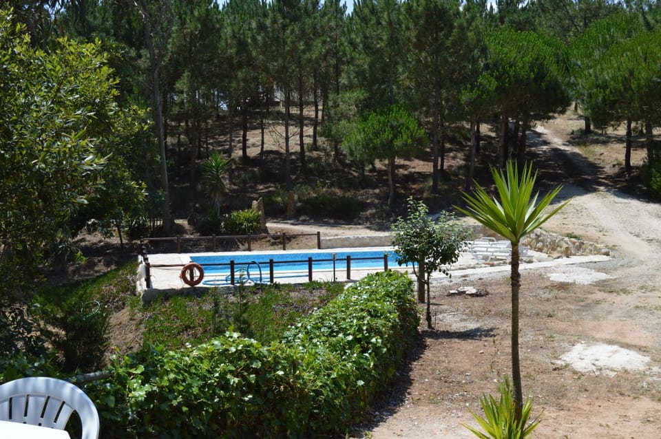 Pool view, Swimming pool, Swimming pool